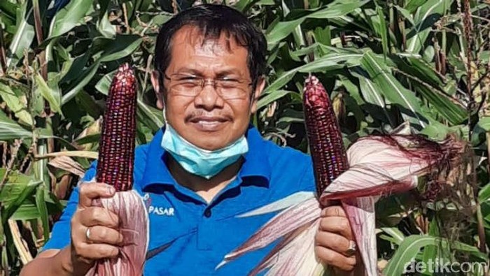 Kepala Dinas Pertanian Kota Denpasar, I Gede Ambara Putra (dok Istimewa)