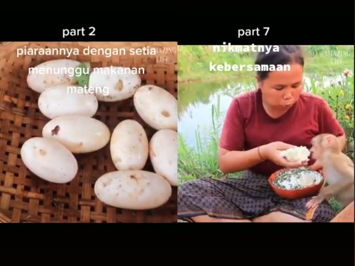 Masak telur buaya Tak Ada Telur Ayam, Wanita Ini Pilih Masak Telur Buaya Kukus