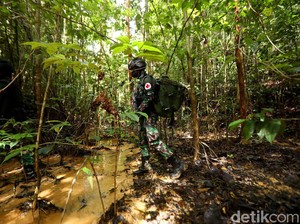 Hewan Ini Punya 5 Mata dan Organ Pendengarannya Ada di Perut, Bisa Tebak?