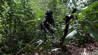 Ketika komandan patroli patok memberikan aba-aba bahwa patok sedikit lagi akan ditemui, kami pun cukup berbahagia setelah menempuh perjalanan panjang selama kurang lebih 2-3 jam.