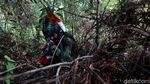Menyusuri Hutan Kalimantan, Mencari Batas Indonesia-Malaysia