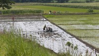 Aktivitas para petani akan menemani perjalanan Anda.