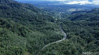 Disepanjang jalan mulus yang membentang ratusan kilometer itu, kita akan disuguhi oleh pemandangan kawasan hutan yang terhampar hijau dan juga ada sebagian kecil permukiman warga.
