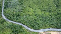 Bonusnya saat melintasi Jalan Lintas Kalimantan Poros Utara itu adalah akan pemandangan hijaunya hutan Kalimantan yang memanjakan mata kita.