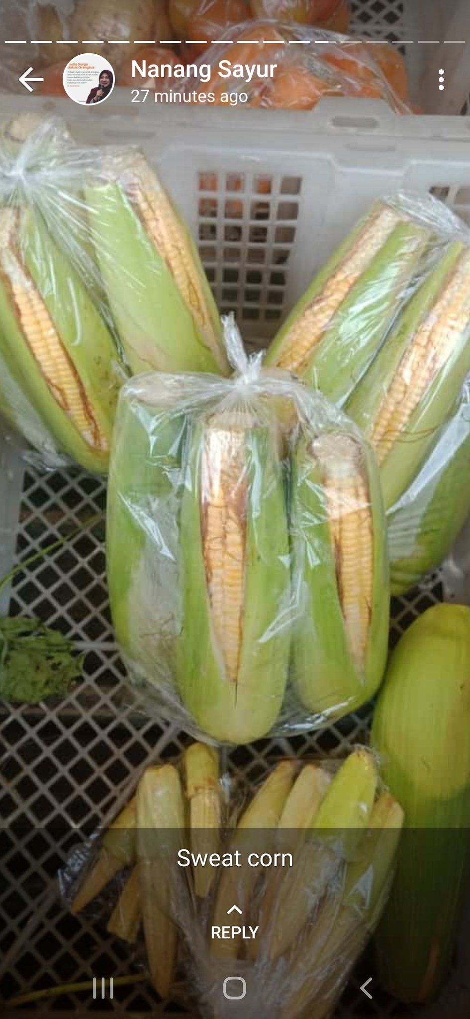 Status WA Lucu Tukang Sayur
