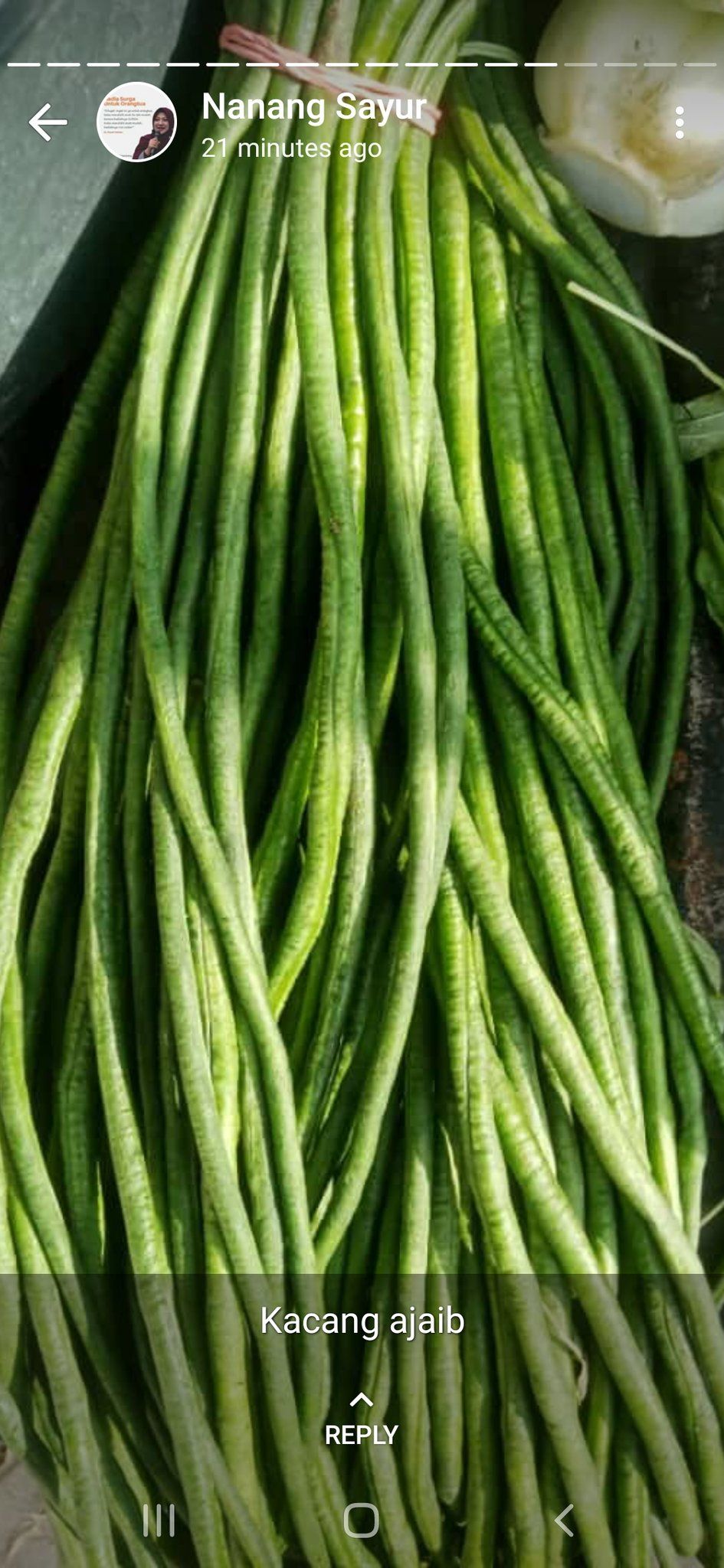 Status WA Lucu Tukang Sayur