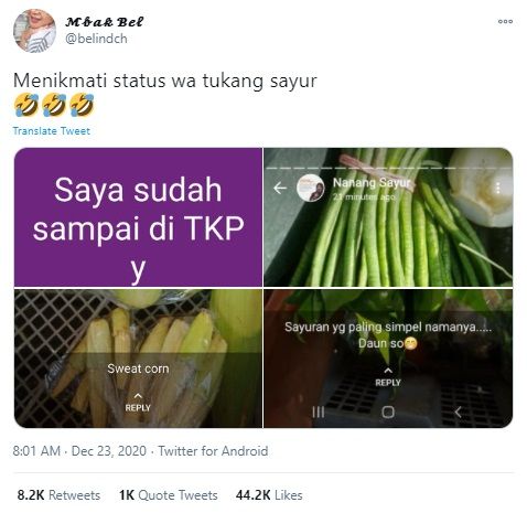 Status WA Lucu Tukang Sayur