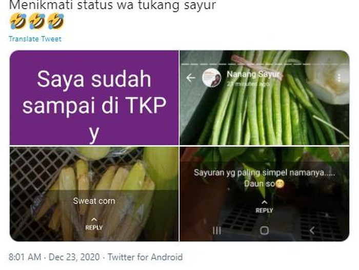 Status WA Lucu Tukang Sayur