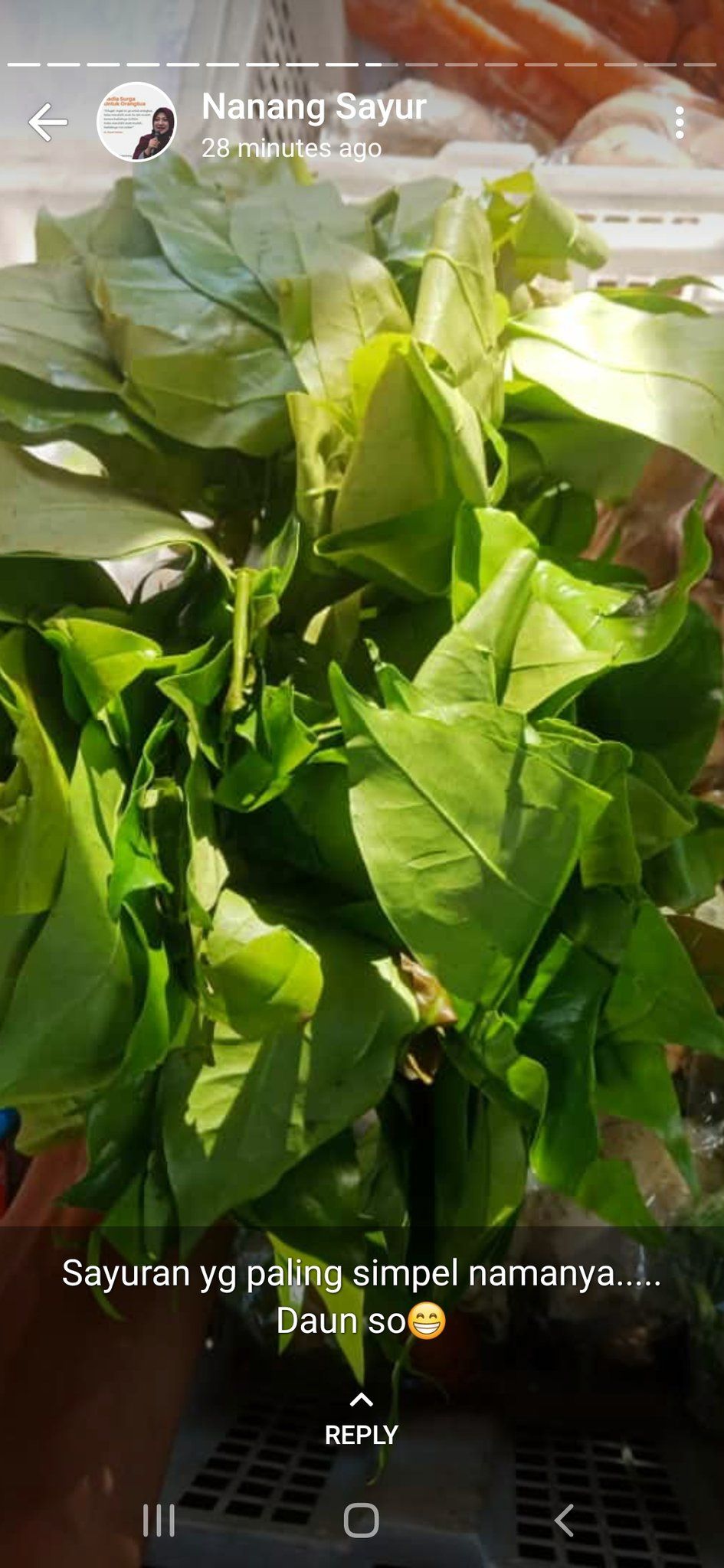 Status WA Lucu Tukang Sayur