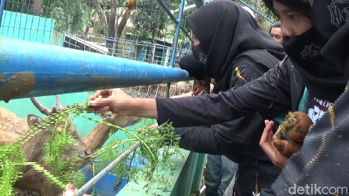 Serulingmas Zoo