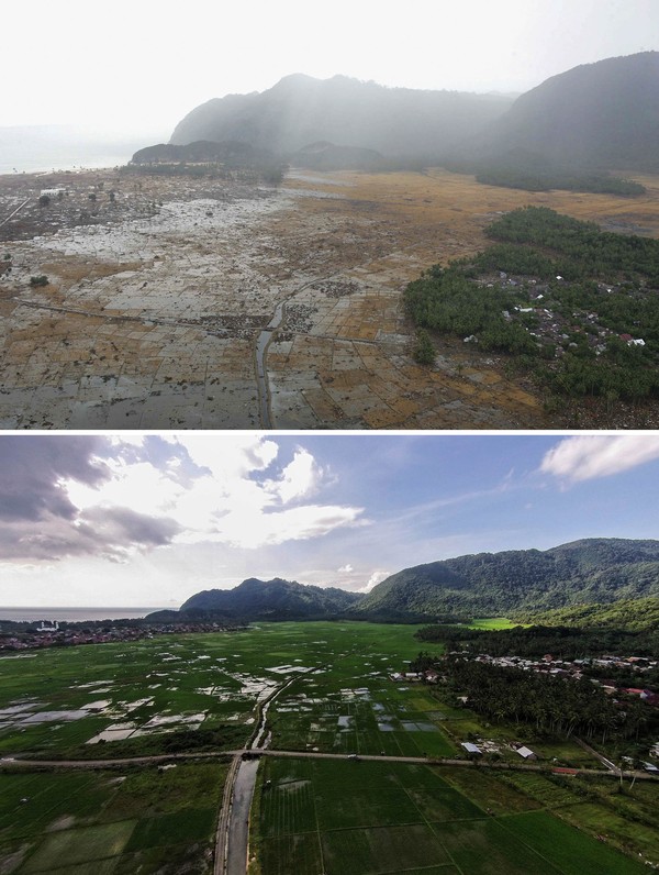 Areal persawahan hancur diterjang tsunami 2004 lalu. Kini persawahan itu kembali hijau oleh tanaman padi. Ulet Ifansasti/Getty Images. Areal persawahan hancur diterjang tsunami 2004 lalu. Kini persawahan itu kembali hijau oleh tanaman padi. Ulet Ifansasti/Getty Images.