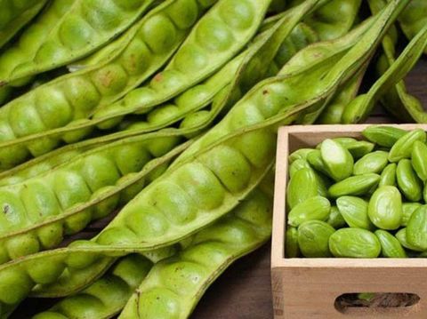 Dua Saudara Berkebutuhan Khusus Ini Bertahan Hidup Makan Petai