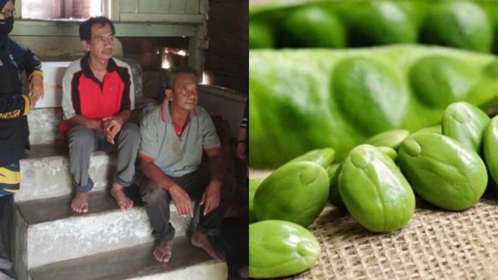 Dua Saudara Berkebutuhan Khusus Ini Bertahan Hidup Makan Petai