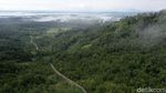 Foto: Hijaunya Hutan Kalimantan yang Jadi Paru-paru Dunia