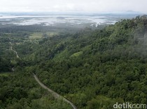 2 Suku Bangsa Paling Besar di Kalimantan