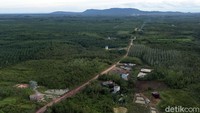 Hutan tropis mampu mencegah erosi tanah dan mengurangi risiko bencana alam seperti tanah longsor, banjir, gelombang tsunami, hingga badai. Tidak hanya itu, hutan tropis juga berperan dalam menyerap, membersihkan, dan mendaur ulang air tawar dengan menangkap curah hujan.