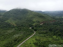 Asal-usul Nama Kalimantan: Dari Bahasa hingga Sejarah
