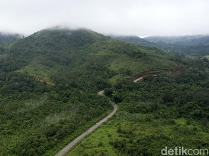 Kenapa Kalimantan Tak Punya Gunung Berapi? Ini Penjelasan Ilmiah BMKG