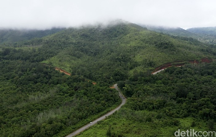 Pulau Kalimantan disebut sebagai salah satu paru-paru dunia karena luas hutannya yang mencapai hingga 40,8 juta hektar. Beginilah potret hijaunya hutan Kalimantan.