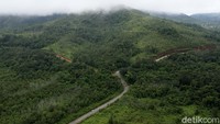 Seperti diketahui, Hutan memiliki kemampuan untuk melepaskan oksigen, sebuah zat yang dibutuhkan oleh semua makhluk hidup, termasuk manusia. Meskipun begitu, tak semua hutan memiliki kemampuan untuk menjadi paru-paru dunia. 