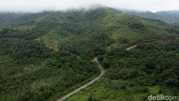 Pulau Kalimantan disebut sebagai salah satu paru-paru dunia karena luas hutannya yang mencapai hingga 40,8 juta hektar. Beginilah potret hijaunya hutan Kalimantan.
