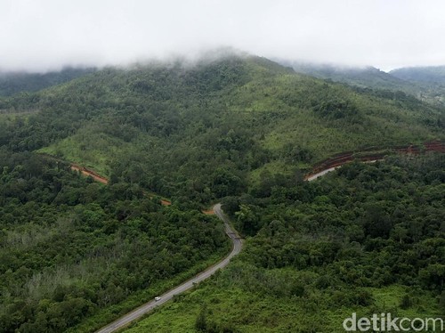 Ada Aturan Baru Perdagangan Karbon, RI Bidik Pasar Global