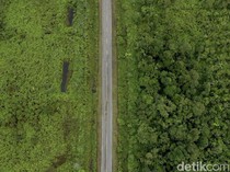 Asal-usul Sebutan Borneo untuk Kalimantan