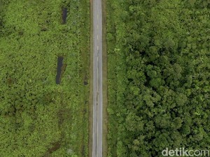 Perdagangan Karbon Kehutanan Masuk Babak Baru, Potensi Transaksi Rp 5 T