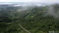 Hutan tropis sebagai paru-paru dunia karena merupakan ekosistem darat dengan keanekaragaman hayati yang paling beragam dan produktif di bumi. Negara-negara yang memiliki hutan tropis, seperti di Indonesia dan Malaysia yang memiliki hutan rawa gambut, kawasan Cerrado-Brazil terdapat hutan semi gugur dan gugur, serta di Afrika terdapat hutan tropis kering.