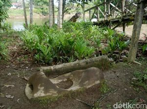 Kisah Batu Pengabul Keinginan Keramat Milik Suku Dayak Taman