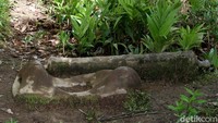 Batu yang berbentuk seperti Meriam ini diakui berasal dari Uluk Mendalam, asli beserta tiang yang menyangga di rumah Betang Semangkok ini.