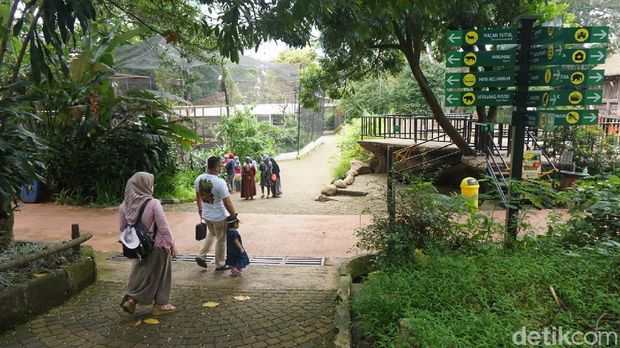 Suasana di Kebun Binatang Bandung hari Sabtu ini (26/12)