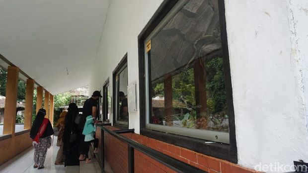 Suasana di Kebun Binatang Bandung hari Sabtu ini (26/12)