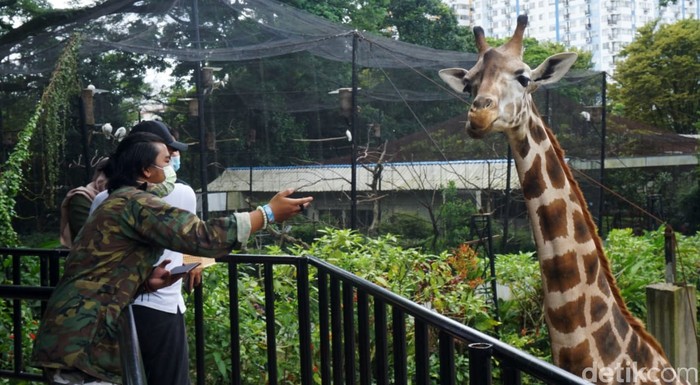 Sebelum pandemi COVID-19, Kebun Binatang Bandung (Bandung Zoological Garden) menjadi salah satu objek wisata primadona wisatawan di Kota Bandung. Namun libur nataru tahun ini tidak seramai tahun sebelumnya.