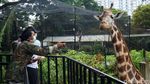 Libur Nataru, Begini Suasana di Kebun Binatang Bandung