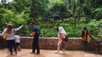 Mayoritas pengunjung datang dengan mengajak keluarganya.