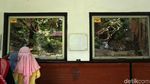 Libur Nataru, Begini Suasana di Kebun Binatang Bandung