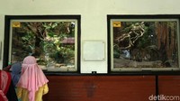 Beberapa anak melihat hewan di salah satu kandang Kebun Binatang Bandung.
