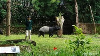 Beberapa wahana yang tersedia di Kebun Binatang Bandung yaitu, atraksi hewan satwa, memberi pakan burung di kubah, memberi pakan jerapah, dan tempat makan yang berdekatan dengan kandang terbuka singa.