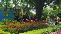 Warga memilih beristirahat di bawah pohon rindang usai berkeliling Kebun Binatang Bandung.
