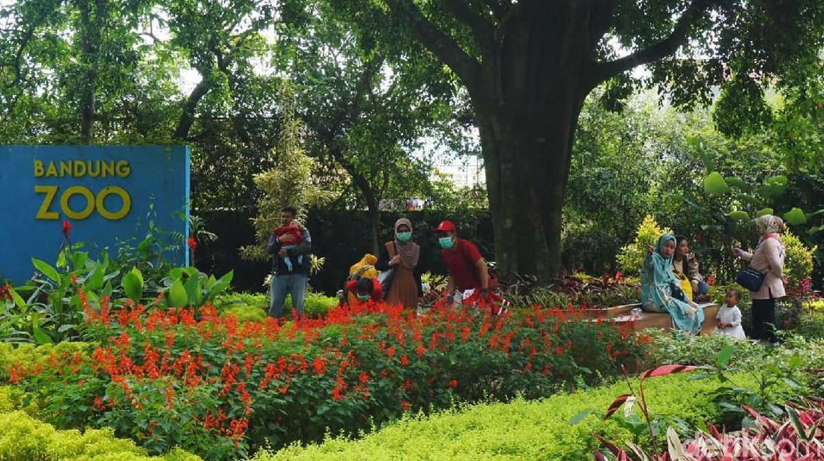 Harga Tiket Kebun Binatang Bandung, Lengkap dengan Fasilitas Barunya