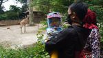 Libur Nataru, Begini Suasana di Kebun Binatang Bandung
