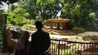 Sehari setelah perayaan Natal, warga berekreasi ke Kebun Binatang Bandung.