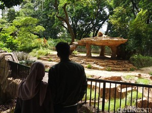 Okupansi Hotel dan Kunjungan Wisatawan ke Bandung Malah Turun Saat Libur Natal