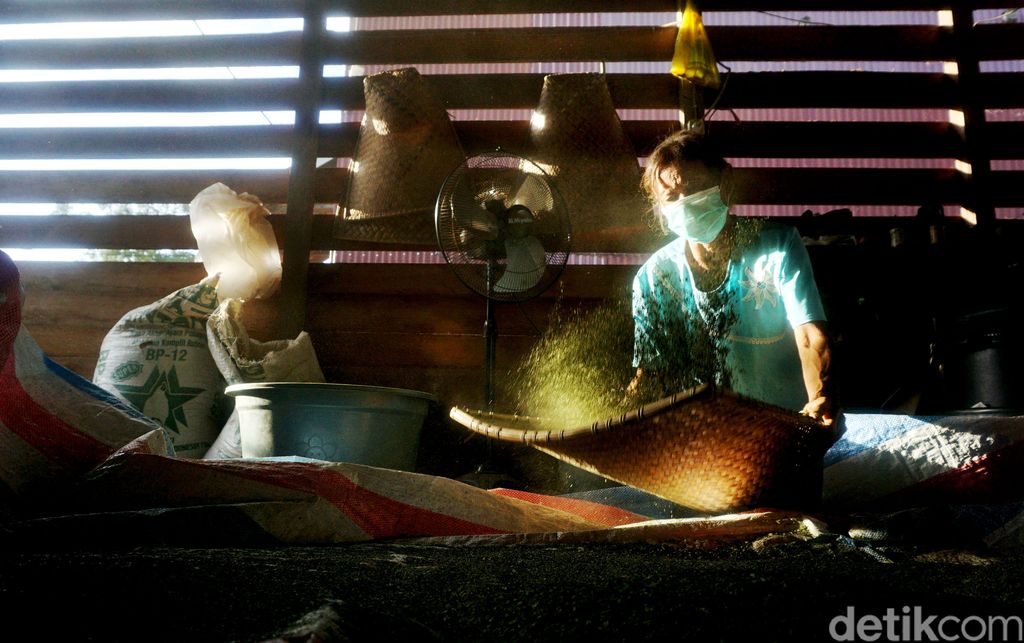 Sebagian besar masyarakat Kapuas Hulu mengantungkan hidupnya dari tanaman kratom, terlebih saat pandemi COVID-19. Tak terkecuali bagi Yohanes yus Ady, warga Bika, Kapuas Hulu.