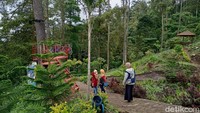 Di Ngebel Adventure Park, wisatawan disuguhi pemandangan telaga Ngebel dari ketinggian. Selain itu, tampak taman dan beberapa spot foto serta wahana yang bisa dicoba. Mulai dari sepeda udara, ayunan, flying fox dan motor ATV. Tiap wahana, bisa dicoba dengan tarif yang sudah ditentukan. 