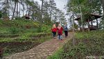 Begitu Cantik, Melihat Telaga Ngebel Ponorogo dari Ketinggian