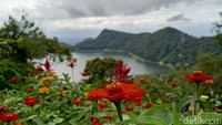 Mengisi waktu liburan akhir tahun tidak lengkap rasanya jika tidak berwisata. Meski ditengah pandemi COVID-19, Ngebel Adventure Park (NAP) tetap bisa dikunjungi wisatawan. Sebab, berada di kawasan alam terbuka seluas 4 hektar.