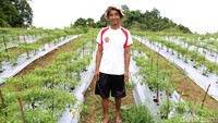 Selepas bekerja dari perkebunan Sawit, Pria kelahiran Blora, Jawa Tengah yang merupakan lulusan SMK itu memutuskan untuk bekerja menjadi petani menggarap perkebunan sendiri.