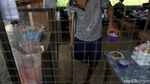 Frustasi-Ingin Bunuh Diri, Pedagang Ini Sukses di Batas Negeri